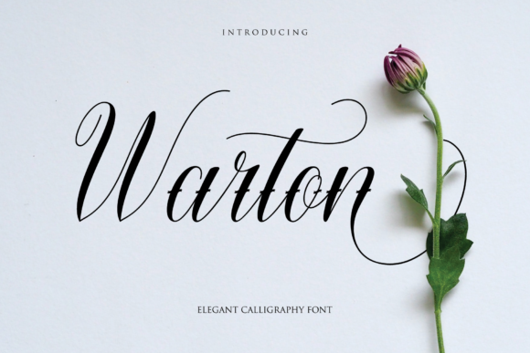 Warton: The Elegant Calligraphy Font for Timeless Design