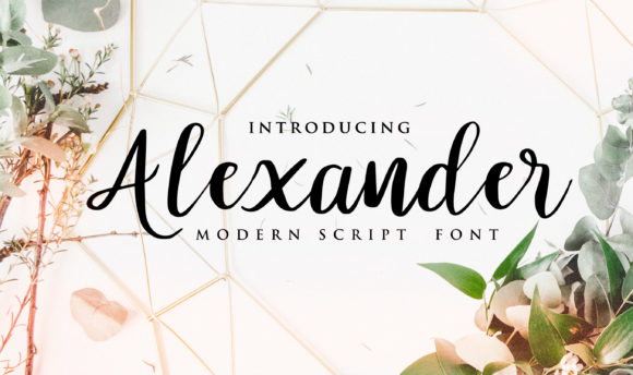 Why Alexander Is the Perfect Handwritten Font for Romantic Design
